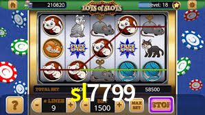 A Experiência Imersiva dos Cassinos Ao Vivo no sl7799